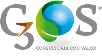 G3SOS Consultoria con Valor